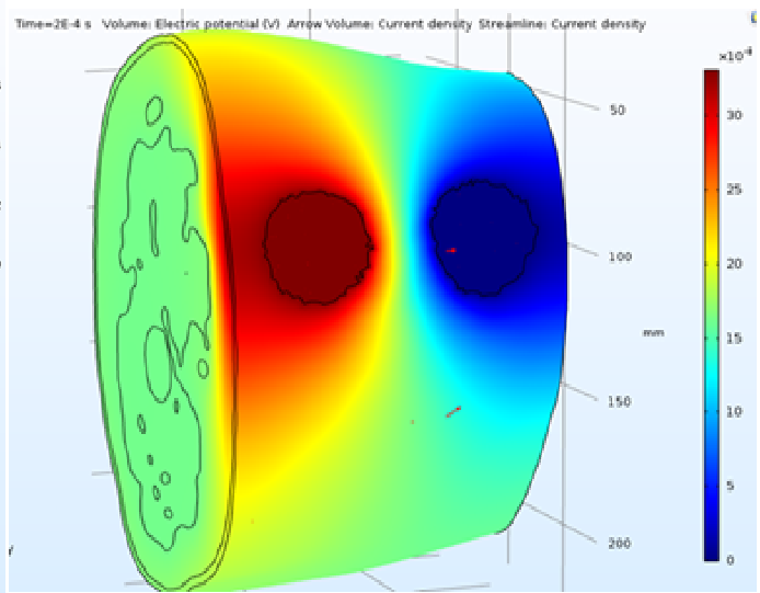DBT project simulation output showing electric potential and current density distribution in a tissue model