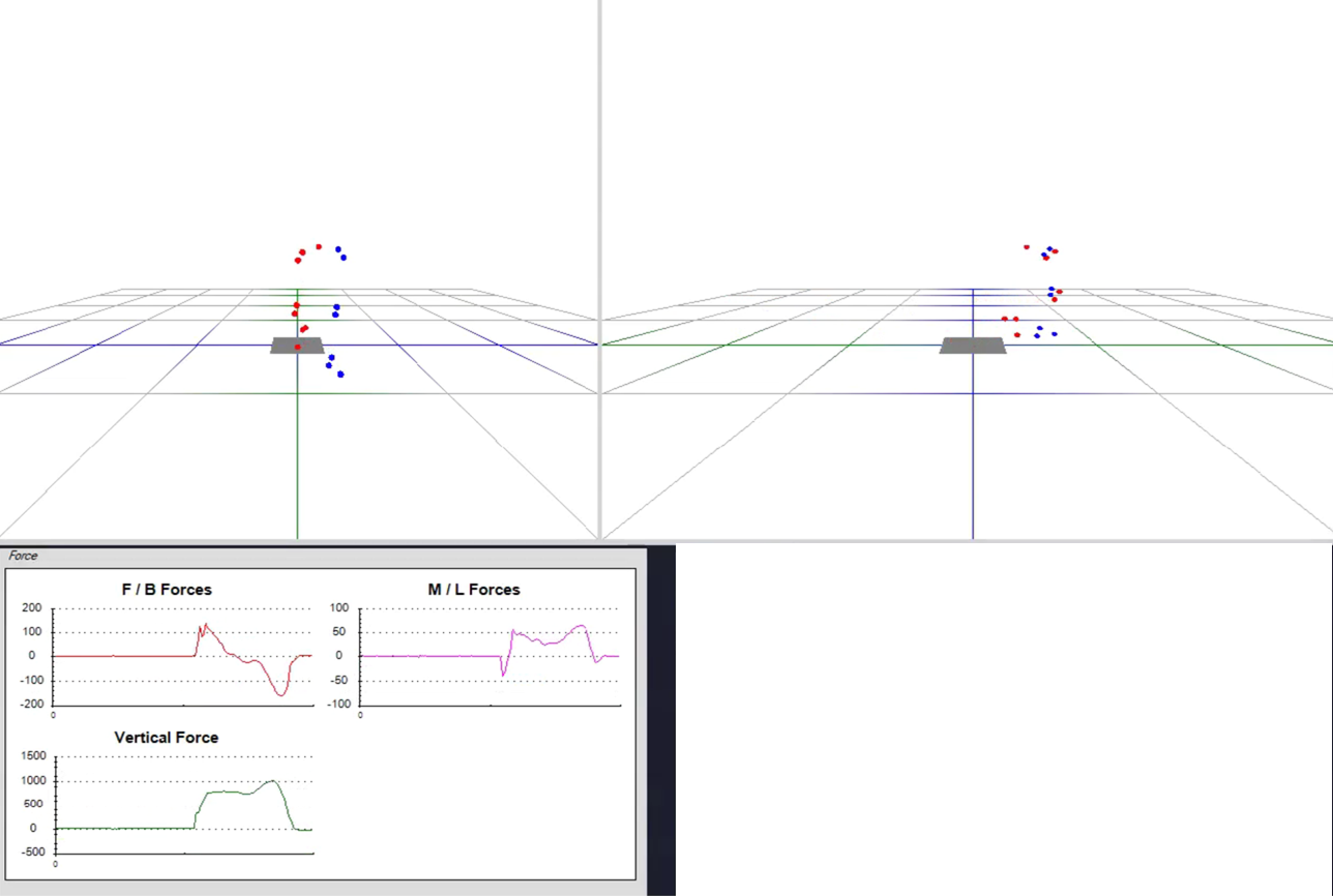 Gait analysis output showing motion capture markers, force plate view, and force graphs